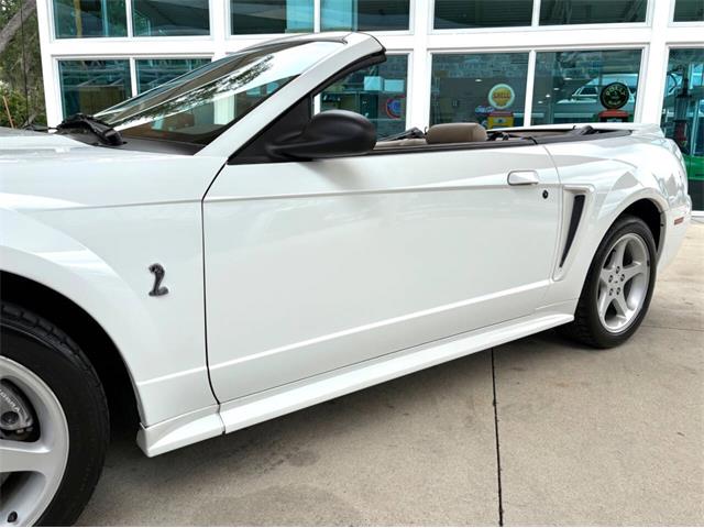 1999 Ford Mustang SVT Cobra (CC-2085650) for sale in Bradenton, Florida