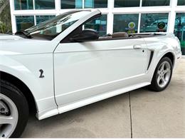 1999 Ford Mustang SVT Cobra (CC-2085650) for sale in Bradenton, Florida