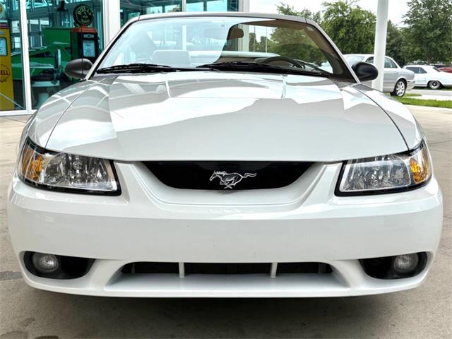 1999 Ford Mustang SVT Cobra (CC-2085650) for sale in Bradenton, Florida