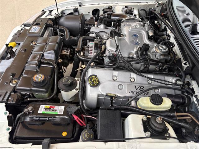 1999 Ford Mustang SVT Cobra (CC-2085650) for sale in Bradenton, Florida