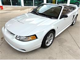 1999 Ford Mustang SVT Cobra (CC-2085650) for sale in Bradenton, Florida