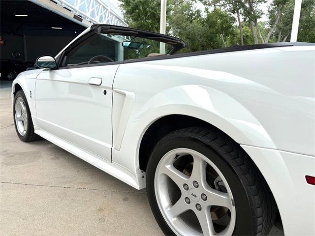 1999 Ford Mustang SVT Cobra (CC-2085650) for sale in Bradenton, Florida