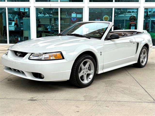 1999 Ford Mustang SVT Cobra (CC-2085650) for sale in Bradenton, Florida
