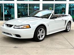 1999 Ford Mustang SVT Cobra (CC-2085650) for sale in Bradenton, Florida