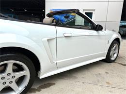 1999 Ford Mustang SVT Cobra (CC-2085650) for sale in Bradenton, Florida