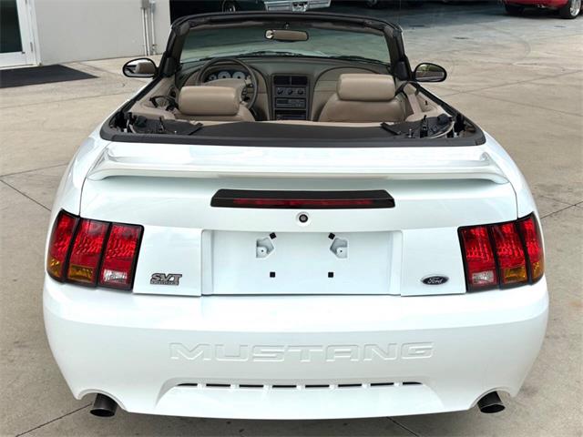 1999 Ford Mustang SVT Cobra (CC-2085650) for sale in Bradenton, Florida
