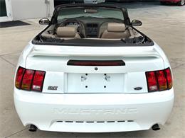 1999 Ford Mustang SVT Cobra (CC-2085650) for sale in Bradenton, Florida