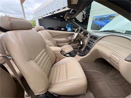 1999 Ford Mustang SVT Cobra (CC-2085650) for sale in Bradenton, Florida