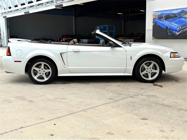 1999 Ford Mustang SVT Cobra (CC-2085650) for sale in Bradenton, Florida