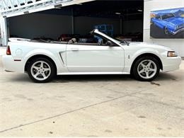 1999 Ford Mustang SVT Cobra (CC-2085650) for sale in Bradenton, Florida