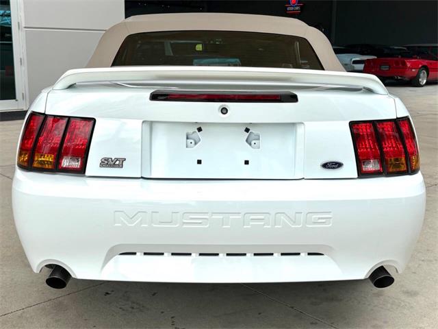 1999 Ford Mustang SVT Cobra (CC-2085650) for sale in Bradenton, Florida