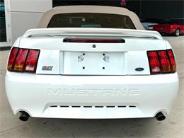 1999 Ford Mustang SVT Cobra (CC-2085650) for sale in Bradenton, Florida
