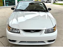 1999 Ford Mustang SVT Cobra (CC-2085650) for sale in Bradenton, Florida