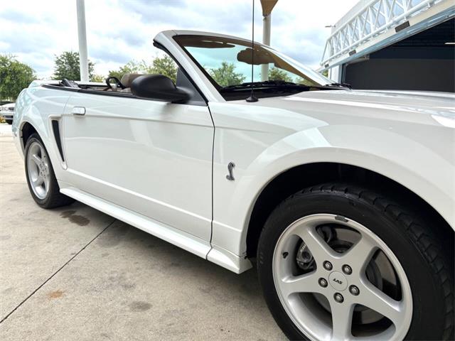 1999 Ford Mustang SVT Cobra (CC-2085650) for sale in Bradenton, Florida