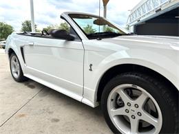 1999 Ford Mustang SVT Cobra (CC-2085650) for sale in Bradenton, Florida