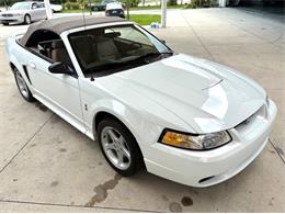 1999 Ford Mustang SVT Cobra (CC-2085650) for sale in Bradenton, Florida