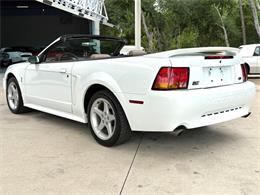 1999 Ford Mustang SVT Cobra (CC-2085650) for sale in Bradenton, Florida