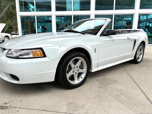 1999 Ford Mustang SVT Cobra (CC-2085650) for sale in Bradenton, Florida