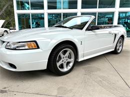 1999 Ford Mustang SVT Cobra (CC-2085650) for sale in Bradenton, Florida