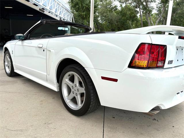 1999 Ford Mustang SVT Cobra (CC-2085650) for sale in Bradenton, Florida