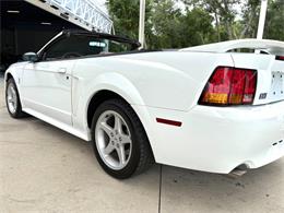 1999 Ford Mustang SVT Cobra (CC-2085650) for sale in Bradenton, Florida