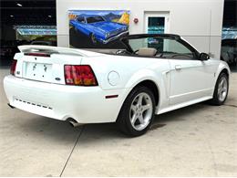 1999 Ford Mustang SVT Cobra (CC-2085650) for sale in Bradenton, Florida