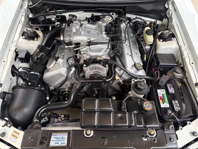 1999 Ford Mustang SVT Cobra (CC-2085650) for sale in Bradenton, Florida