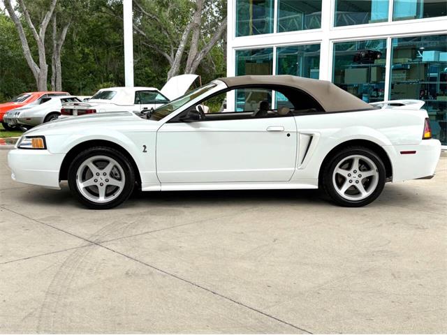 1999 Ford Mustang SVT Cobra (CC-2085650) for sale in Bradenton, Florida