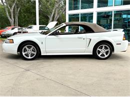 1999 Ford Mustang SVT Cobra (CC-2085650) for sale in Bradenton, Florida