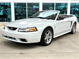 1999 Ford Mustang SVT Cobra (CC-2085650) for sale in Bradenton, Florida