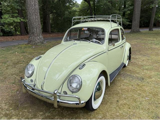 1963 Volkswagen Beetle (CC-2085661) for sale in Greensboro, North Carolina