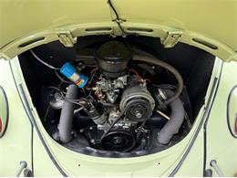 1963 Volkswagen Beetle (CC-2085661) for sale in Greensboro, North Carolina