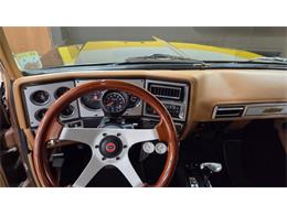 1980 Chevrolet C10 (CC-2085668) for sale in Mankato, Minnesota