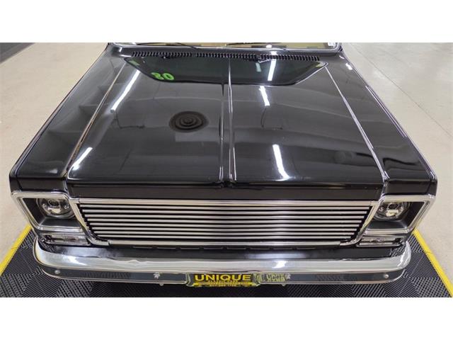 1980 Chevrolet C10 (CC-2085668) for sale in Mankato, Minnesota