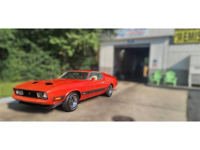 1973 Ford Mustang (CC-2085670) for sale in Cadillac, Michigan