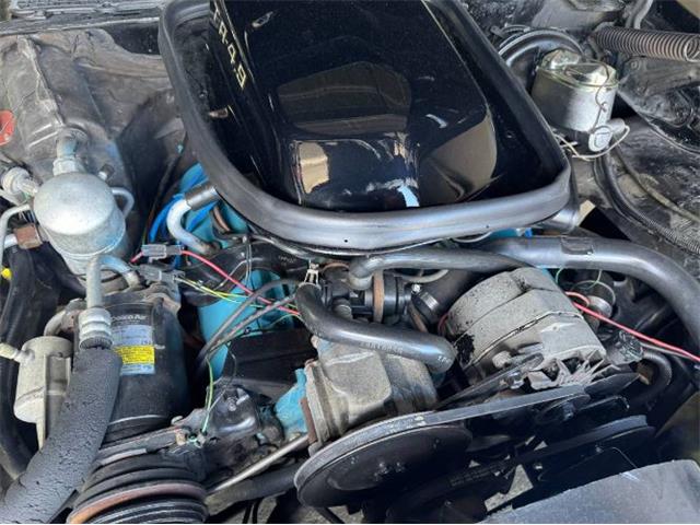 1980 Pontiac Firebird Trans Am (CC-2085672) for sale in Cadillac, Michigan