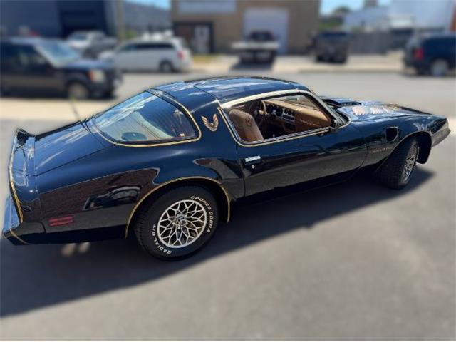 1980 Pontiac Firebird Trans Am (CC-2085672) for sale in Cadillac, Michigan