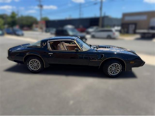1980 Pontiac Firebird Trans Am (CC-2085672) for sale in Cadillac, Michigan