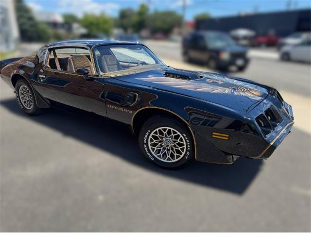 1980 Pontiac Firebird Trans Am (CC-2085672) for sale in Cadillac, Michigan