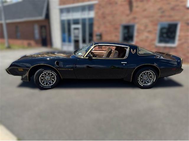 1980 Pontiac Firebird Trans Am (CC-2085672) for sale in Cadillac, Michigan
