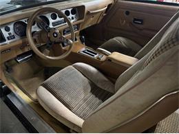 1980 Pontiac Firebird Trans Am (CC-2085672) for sale in Cadillac, Michigan