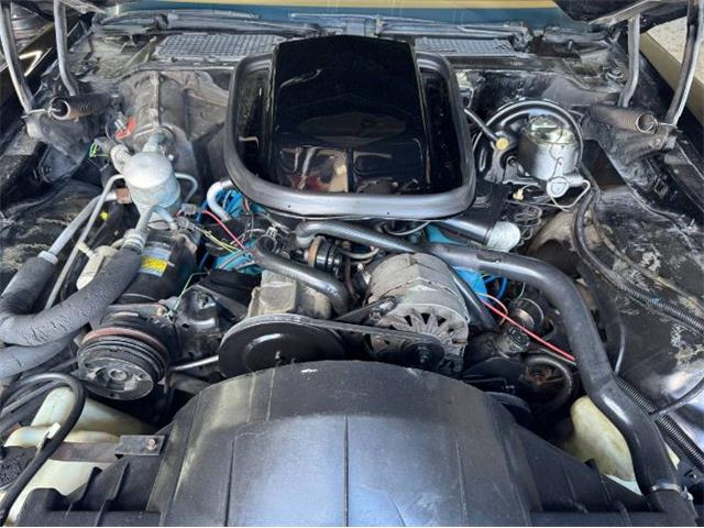 1980 Pontiac Firebird Trans Am (CC-2085672) for sale in Cadillac, Michigan
