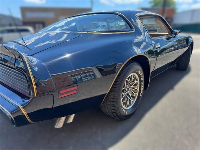1980 Pontiac Firebird Trans Am (CC-2085672) for sale in Cadillac, Michigan