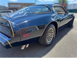 1980 Pontiac Firebird Trans Am (CC-2085672) for sale in Cadillac, Michigan