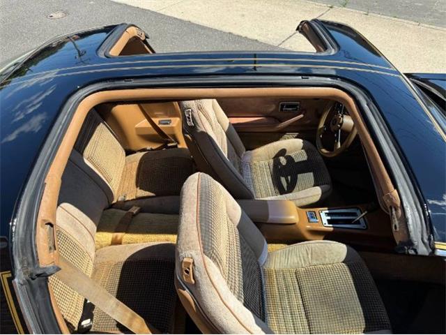 1980 Pontiac Firebird Trans Am (CC-2085672) for sale in Cadillac, Michigan