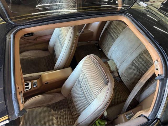 1980 Pontiac Firebird Trans Am (CC-2085672) for sale in Cadillac, Michigan