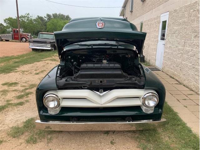 1955 Ford F100 (CC-2085710) for sale in Fredericksburg, Texas