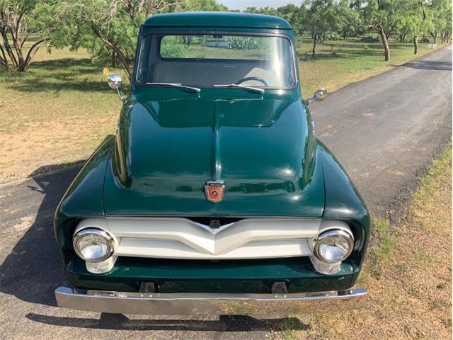 1955 Ford F100 (CC-2085710) for sale in Fredericksburg, Texas