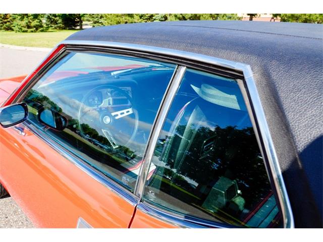 1973 AMC Javelin (CC-2085718) for sale in Ramsey, Minnesota