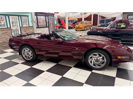 1993 Chevrolet Corvette (CC-2085728) for sale in Annandale, Minnesota